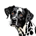 Dalmatian tattoo design idea