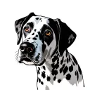 Dalmatian tattoo design idea