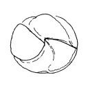 fortune cookie tattoo design idea