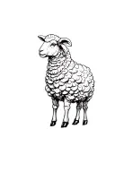 Black Sheep tattoo design idea