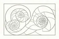 fibonacci spiral ammonite tattoo design idea