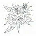 cannabis buds and leaves  tattoo design idea