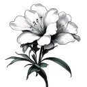 Oleander tattoo design idea