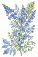 bluebell chamomile fern thyme tattoo design idea