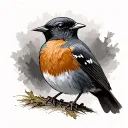 American Robin tattoo design idea