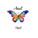 A tattoo of a rainbow butterfly with the name Ariel above it  tattoo design idea