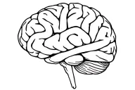 adhd brain tattoo design idea