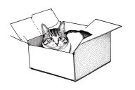 cat fully inside a box with open lid. the cat is dotted outline giving the illusion of seeing through the solid box tattoo design idea