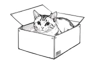 cat fully inside a box with open lid. the cat is dotted outline giving the illusion of seeing through the solid box tattoo design idea