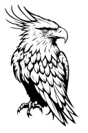 Eagle Carcara tattoo design idea