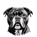 mean looking pit bull in American traditional style tattoo tattoo design idea