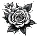 Bnwo tattoo design idea