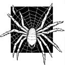 spider and web on hand zxc tattoo design idea