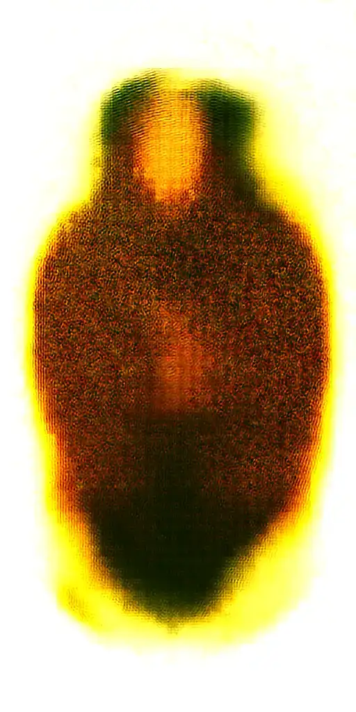 sexy pinup Gay bearded masculine sailor nautical theme krackin anchor rope tom of finland tattoo design idea