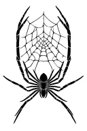 web spider tattoo design idea