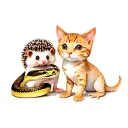 a hedgehog, a bannana ball python snake, a albino opard gecko, and a tabby cat without a tail all posed together cutely  tattoo design idea