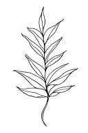 Taro Leaf tattoo design idea