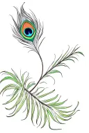 Colourful peacock feather attached tattoo design idea