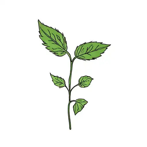 basil mini for leg tattoo tattoo design idea