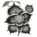 inspirations for anatomy, chemistry, biology and exercise, Grayson birthday 7 / 17/24, Lucas birthday 3/4/ 23, inspirati tattoo design idea