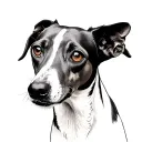 whippet tattoo design idea