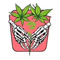 best buds skeleton hands pot leaf tattoo design idea