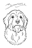 Bernedoodle tattoo design idea