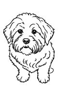 Bernedoodle tattoo design idea