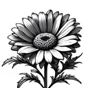 single aster flower blooming tattoo design idea