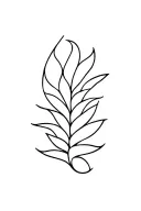 Design a flash template with at least 20 designs for fine line tattoo. The topic has to be summer tattoo design idea