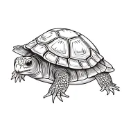 turtle tattoo design idea