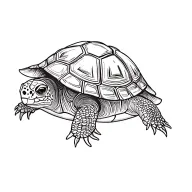 turtle tattoo design idea