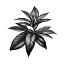 Small jade plant tattoo design idea