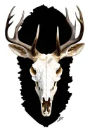 mule deer skull, tattoo design idea