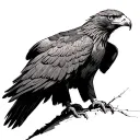 Wedge Tailed Eagle tattoo design idea