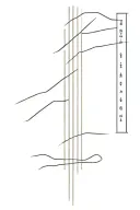 MAXIMILIENNE in ogham vertically on the spinal column, simple, elegant and refined, only composed of symbols tattoo design idea
