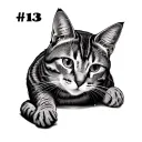tabby cat with number 13 in stripes tattoo design idea
