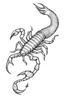 Forearm tattoo design, detailed line work, combining:- Realistic scorpion with stylized tail- Abstract phoenix with fl tattoo design idea