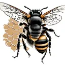 Bee And Honeycomb tattoo design idea