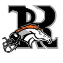 letter B, a junebug and the Denver bronco logo tattoo design idea