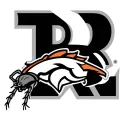 letter B, a junebug and the Denver bronco logo tattoo design idea