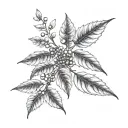 coffee plant, coffee beans growing same branch tattoo design idea