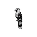 harpy eagle perched tattoo design idea