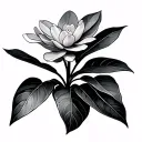 Jade Plant tattoo design idea