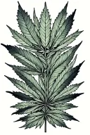 "why be sad, when you can just be gone" weed leaf intertwined tattoo design idea