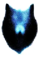 growling wolf face and realistic rocky mountains inside tattoo design idea