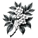 Wattle tattoo design idea