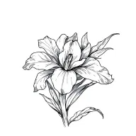 Iris flower with leaves tattoo design idea