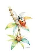 ladybug and a coconut    tattoo design idea