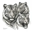 it's basically a chest tattoo , two tigers facing each tattoo design idea
